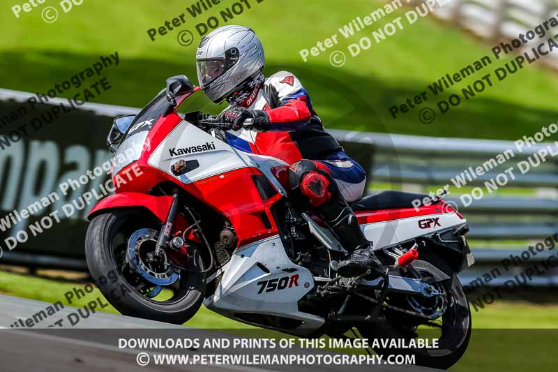 PJ Motorsport 2019;anglesey;brands hatch;cadwell park;croft;donington park;enduro digital images;event digital images;eventdigitalimages;mallory;no limits;oulton park;peter wileman photography;racing digital images;silverstone;snetterton;trackday digital images;trackday photos;vmcc banbury run;welsh 2 day enduro